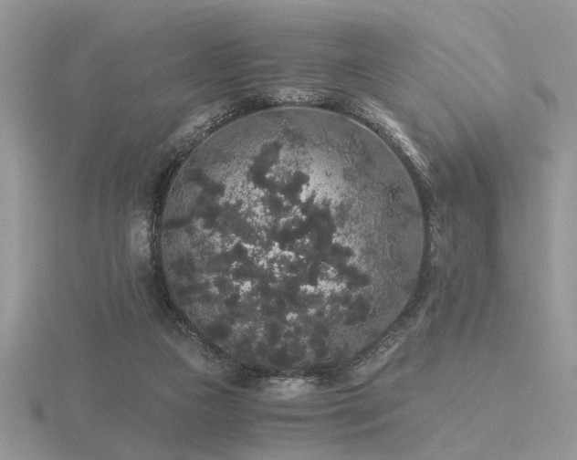 X0000116480161200912091407