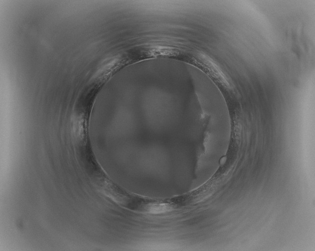 X0000116480169200912091408