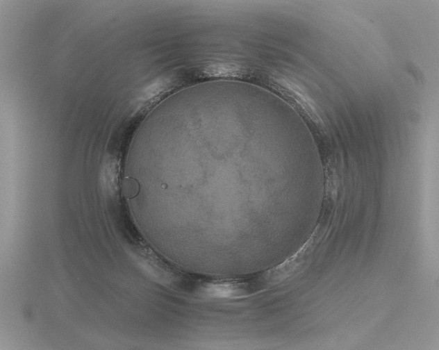 X0000116480171200912091408