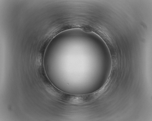 X0000116480174200912091408