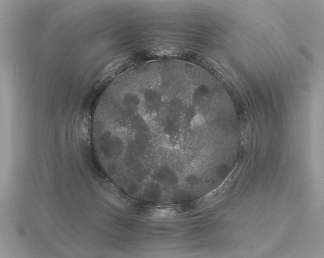 X0000116480175200912091408