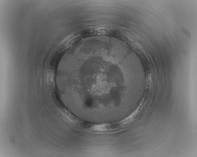 X0000116480178200912091408