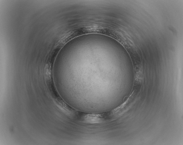 X0000116480179200912091408