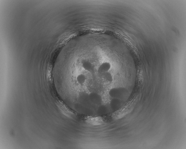 X0000116480185200912091408