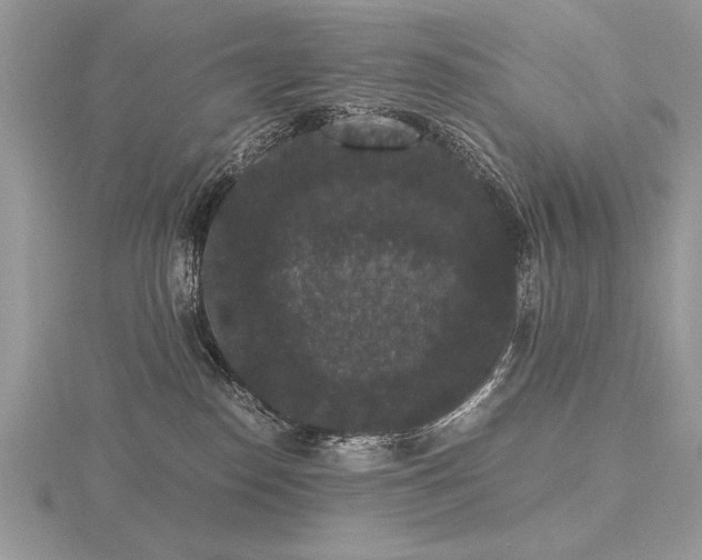 X0000116480186200912091408