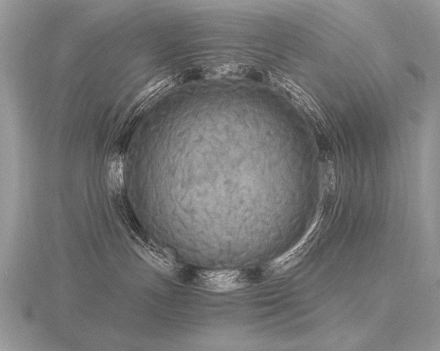 X0000116480191200912091408