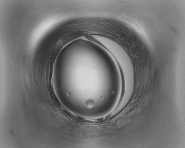 X0000116480195200912091407