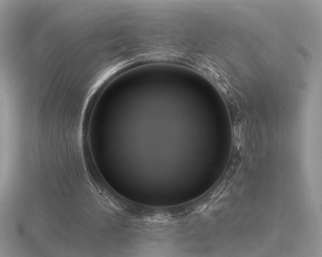 X0000116480196200912091407