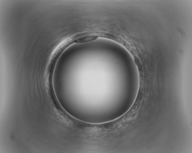 X0000116480197200912091407