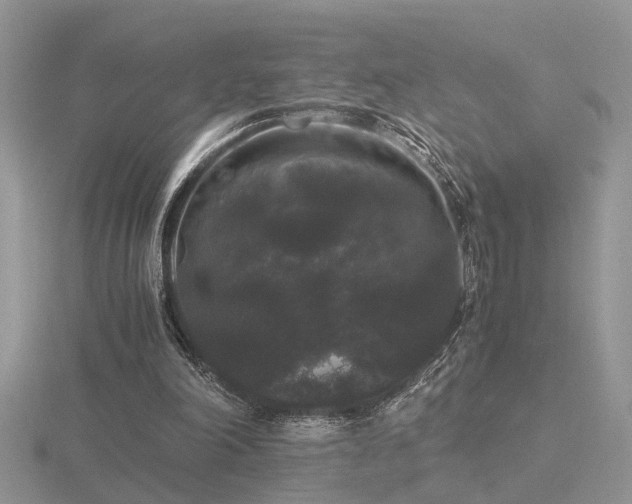 X0000116480198200912091407