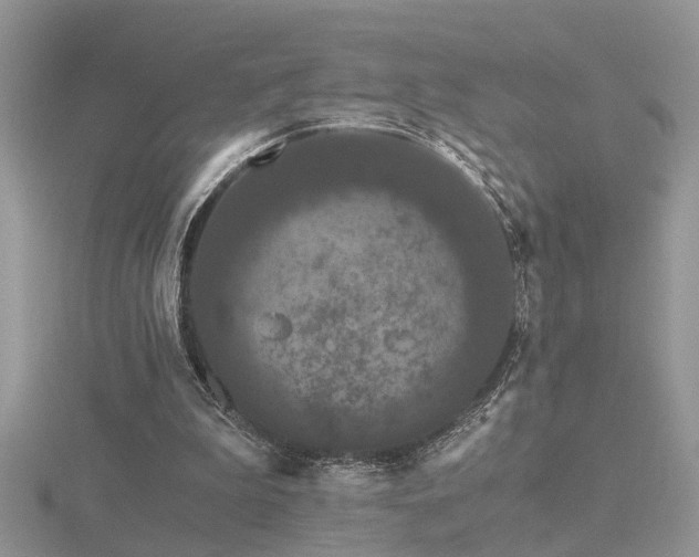 X0000116480199200912091407