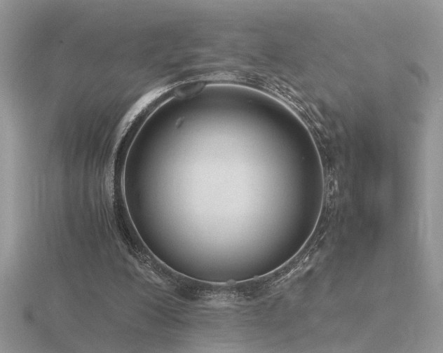 X0000116480200200912091407