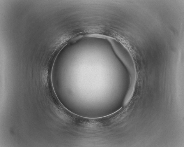 X0000116480201200912091407