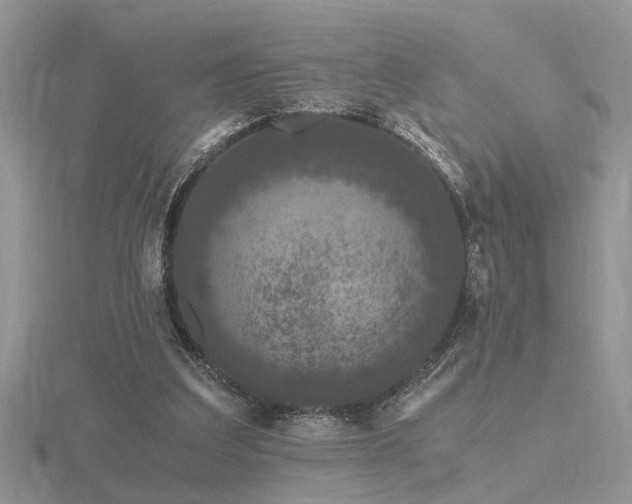 X0000116480203200912091407