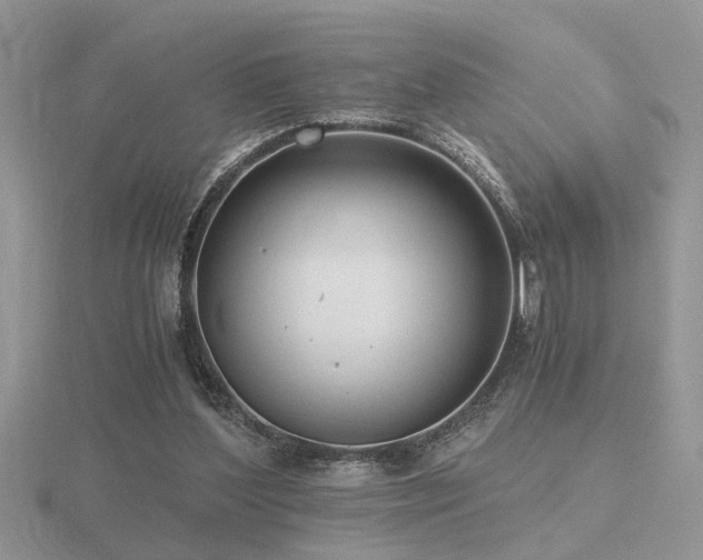 X0000116480204200912091407