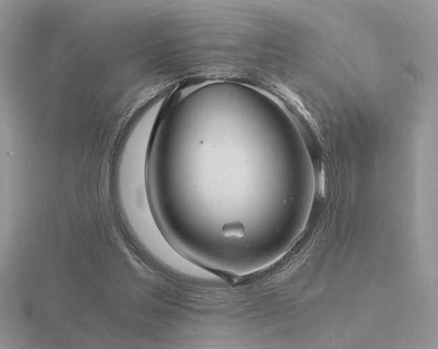 X0000116480205200912091407