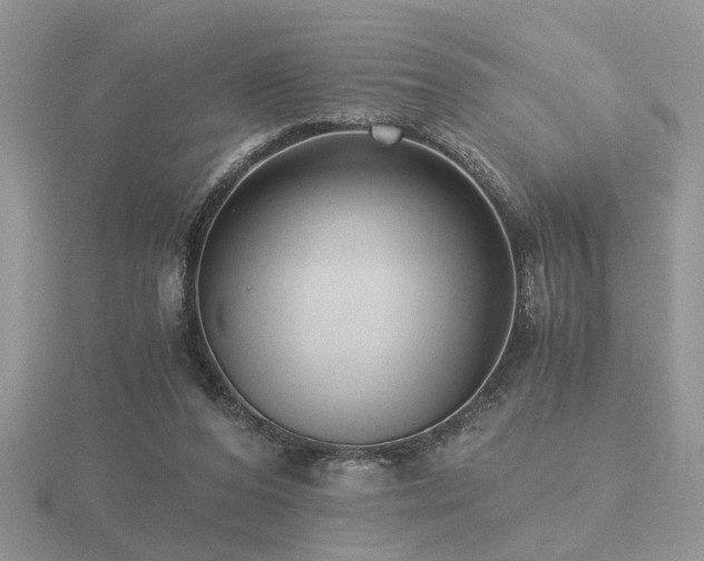 X0000116480208200912091407