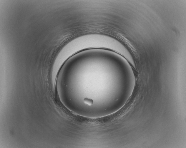 X0000116480209200912091407