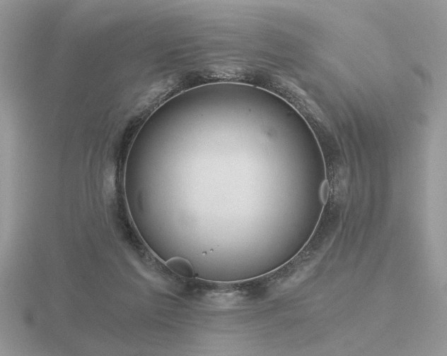 X0000116480213200912091407