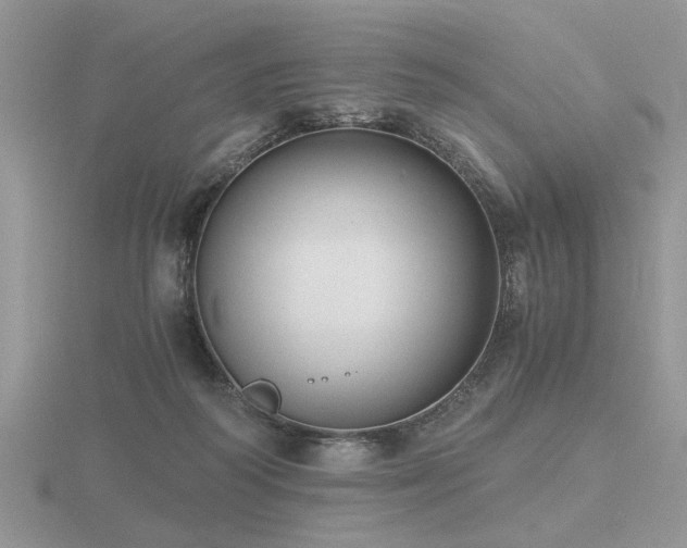 X0000116480218200912091407