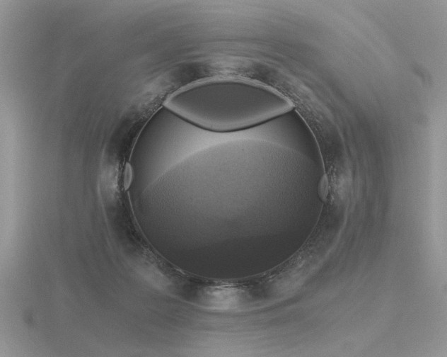 X0000116480219200912091407