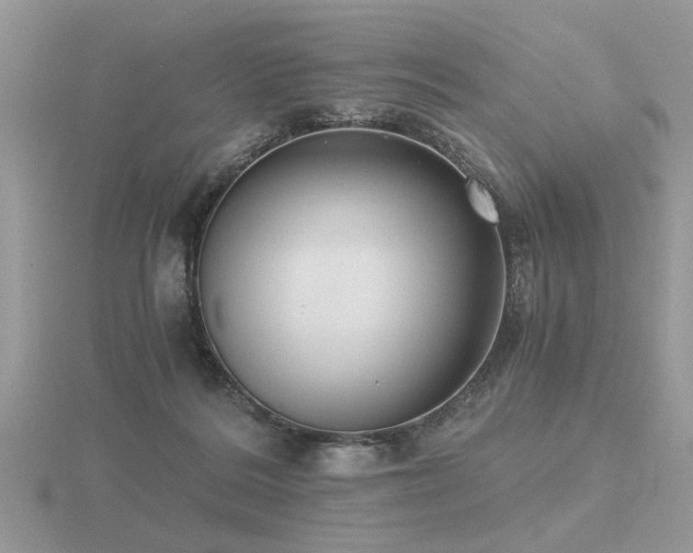 X0000116480220200912091407