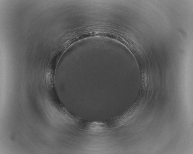 X0000116480222200912091407