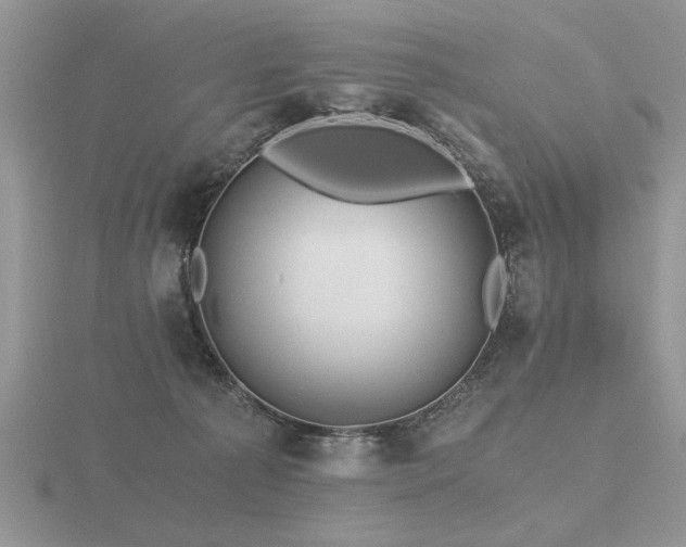 X0000116480225200912091407