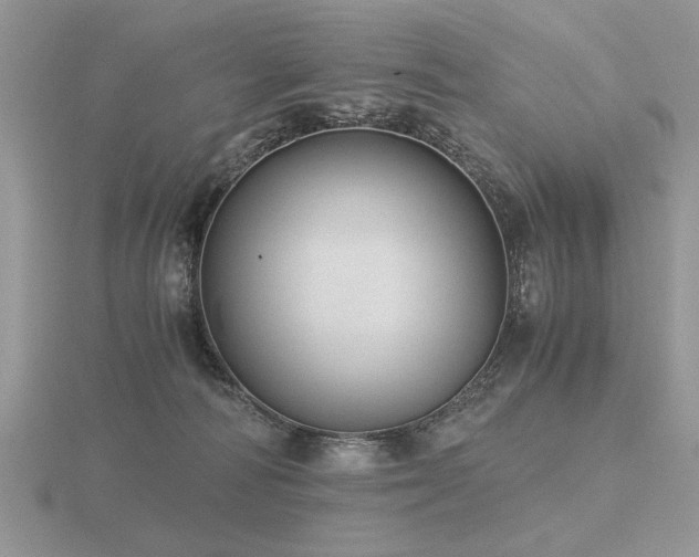 X0000116480226200912091407