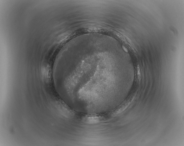 X0000116480228200912091407