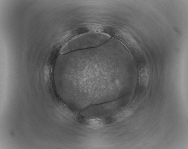 X0000116480229200912091407