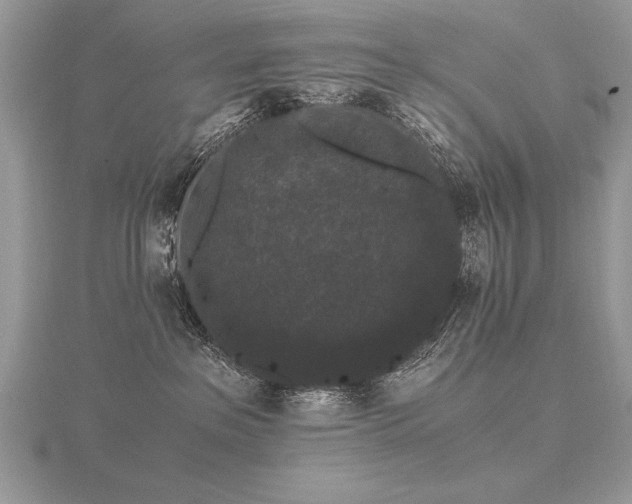 X0000116480237200912091407