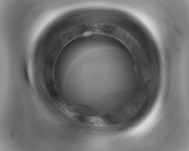 X0000116480239200912091407