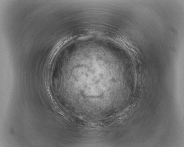 X0000116480241200912091406