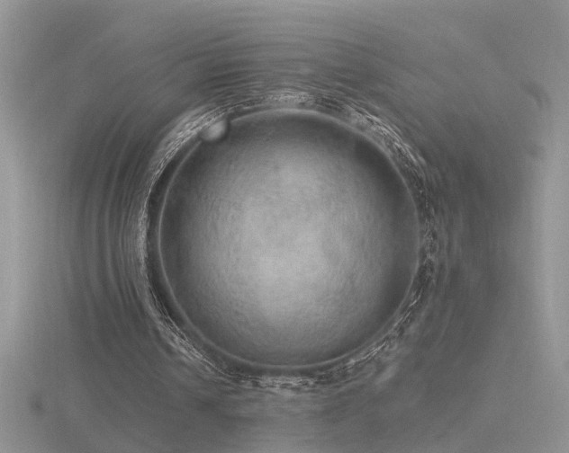 X0000116480242200912091406