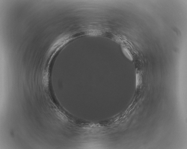 X0000116480243200912091406