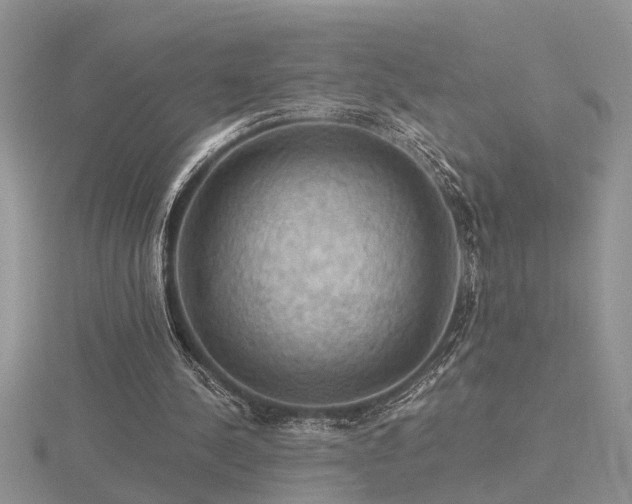 X0000116480244200912091406