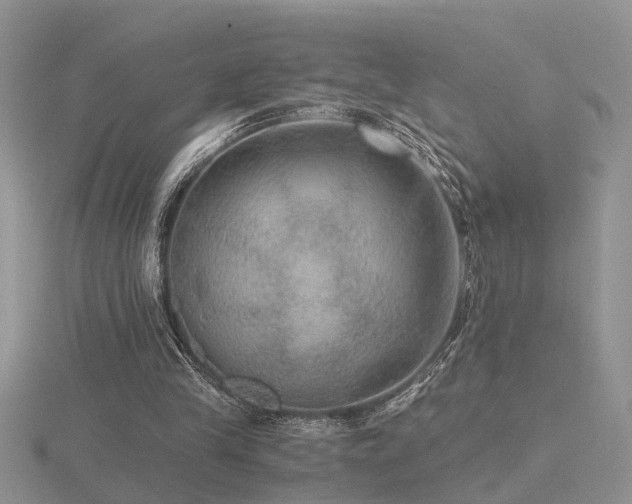 X0000116480245200912091406