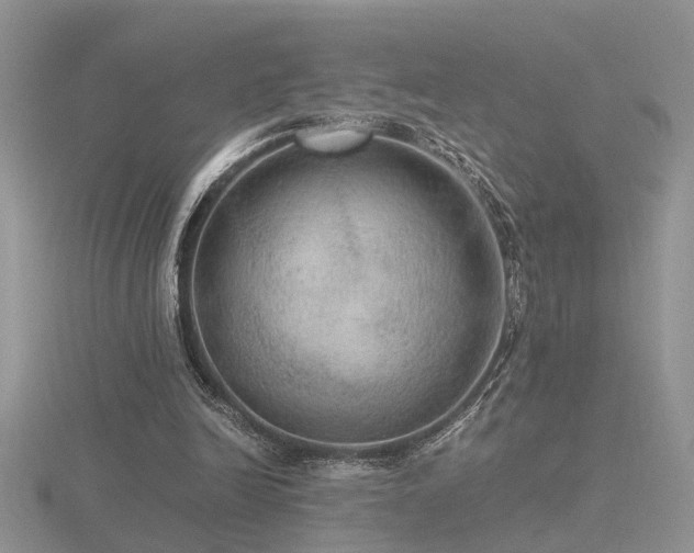 X0000116480246200912091406