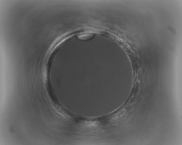 X0000116480247200912091406