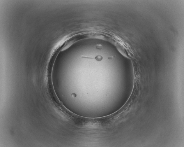 X0000116480248200912091406