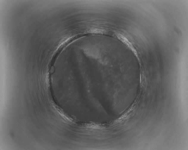 X0000116480249200912091406