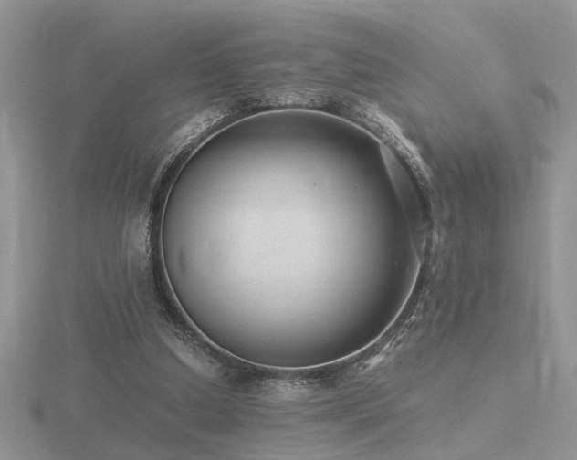 X0000116480250200912091406