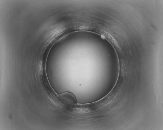 X0000116480251200912091406