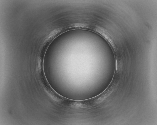 X0000116480253200912091406