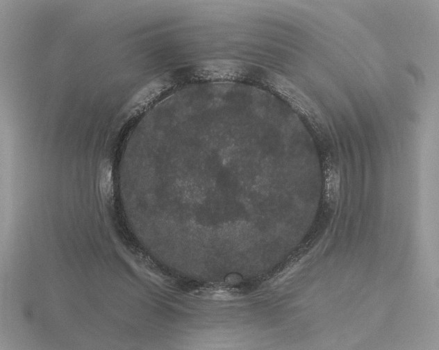 X0000116480254200912091406