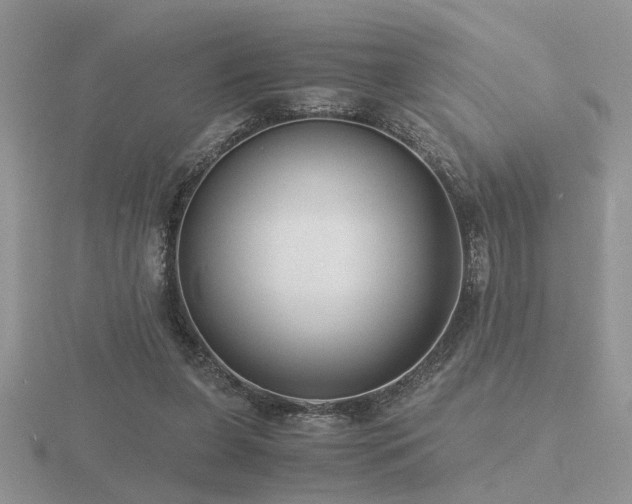 X0000116480255200912091406