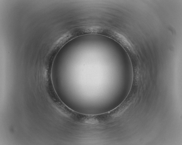 X0000116480258200912091406