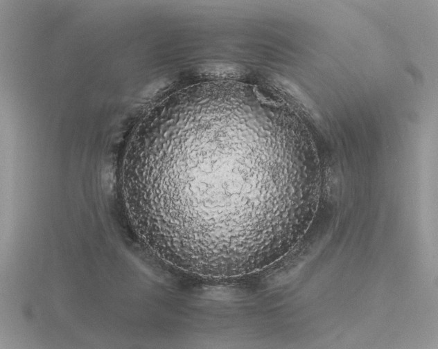 X0000116480259200912091406