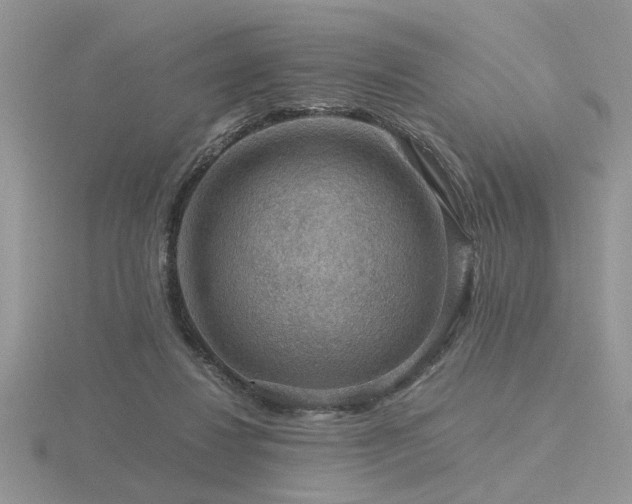 X0000116480260200912091406